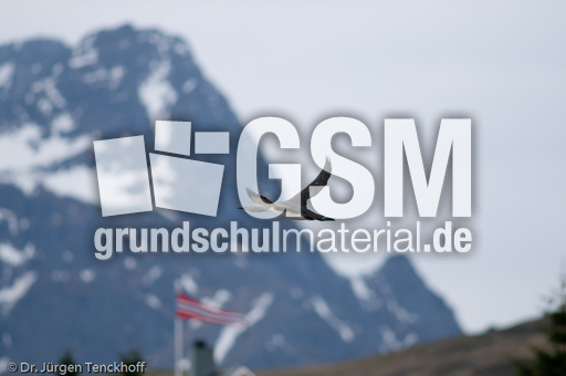 Sterntaucher (15 von 20).jpg